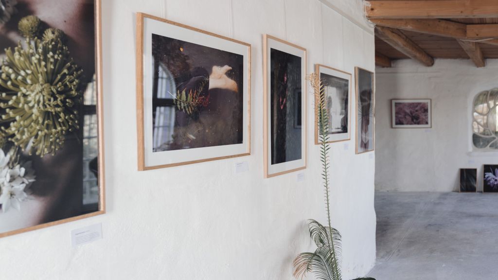 Galleri Maria Fynsk Norup