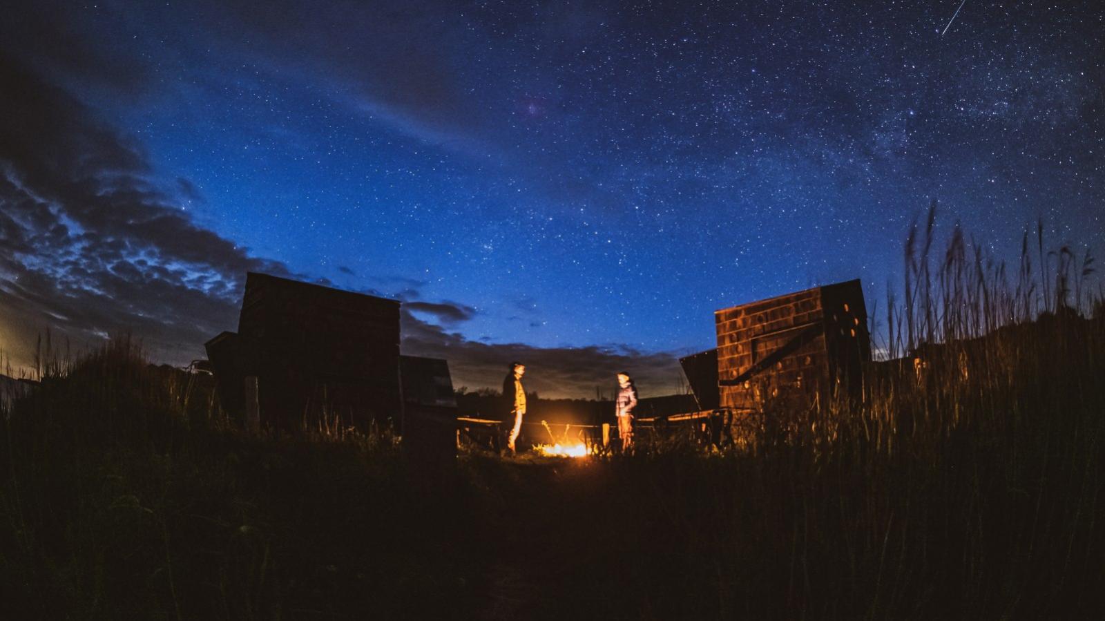 Shelter og stjernenat