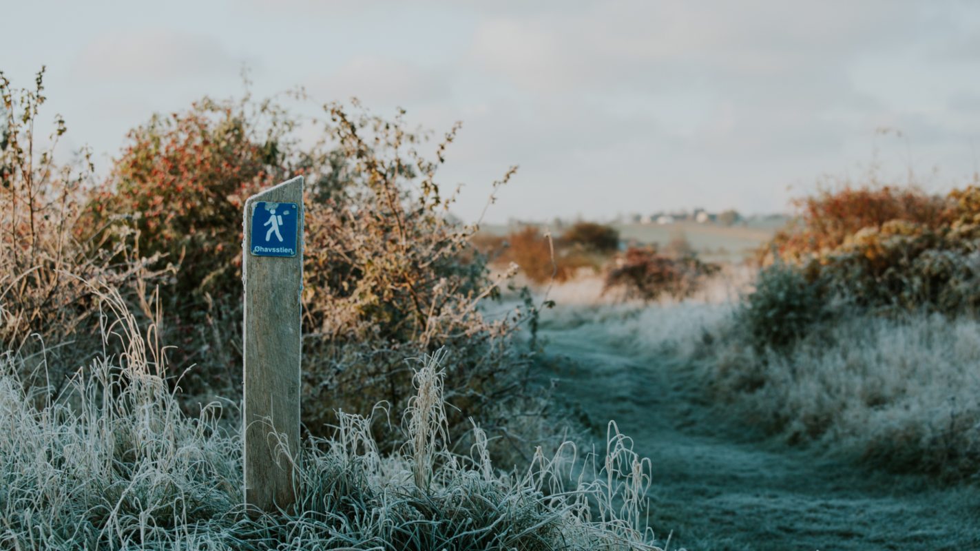 Frost på Øhavsstien