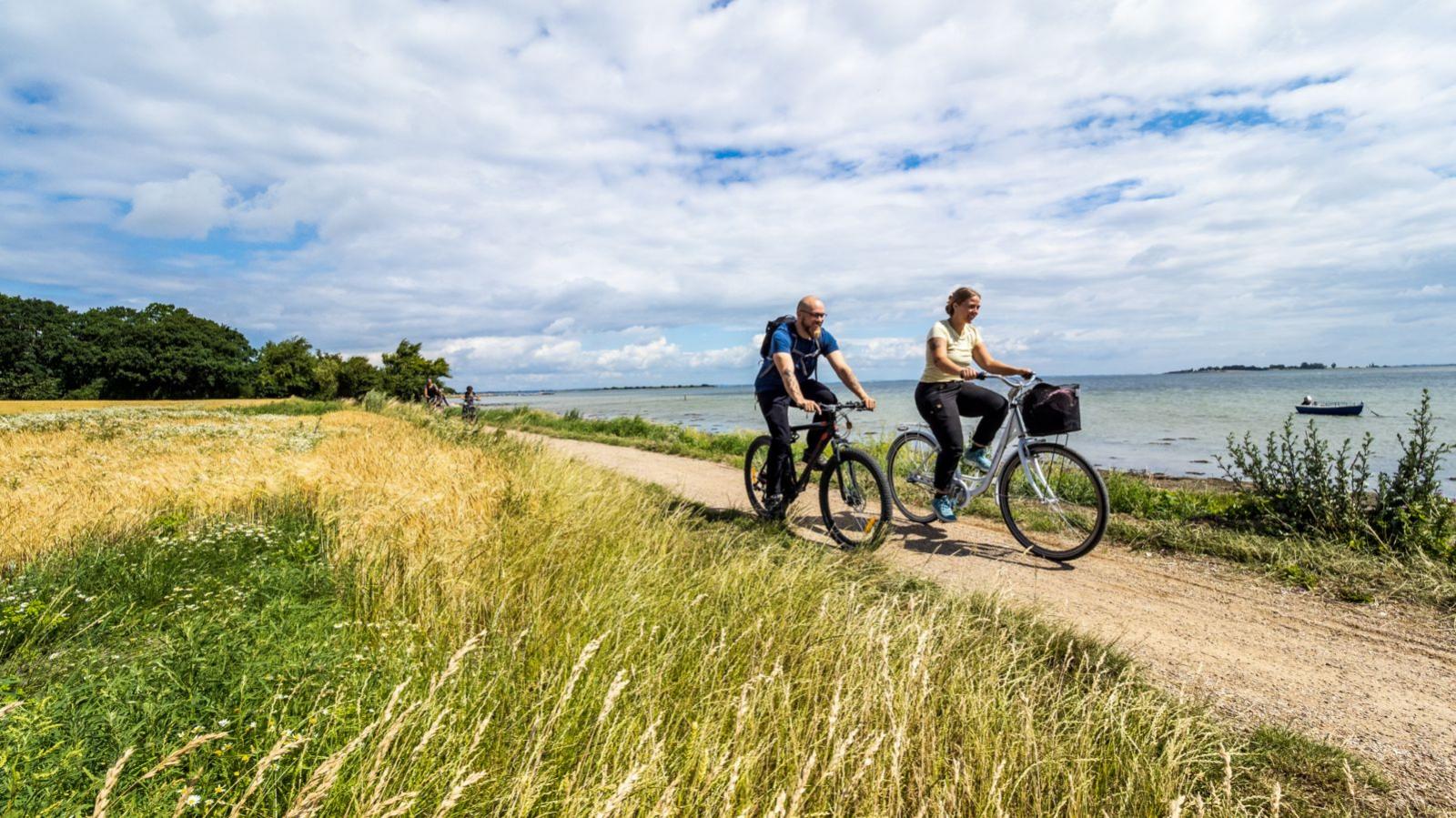 Cykling på Nevrestien
