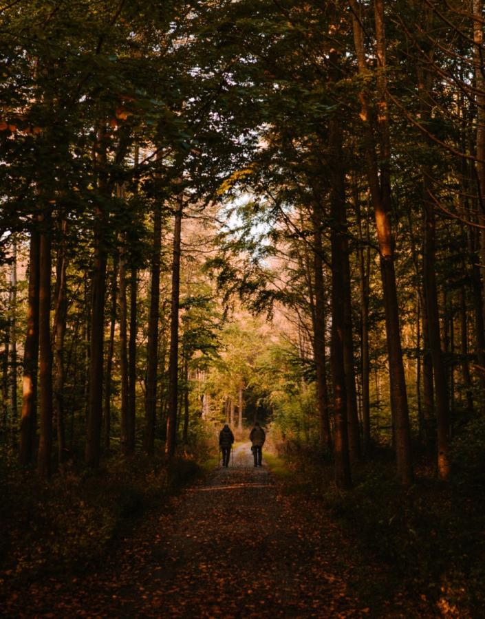 Egehoved topic efterår