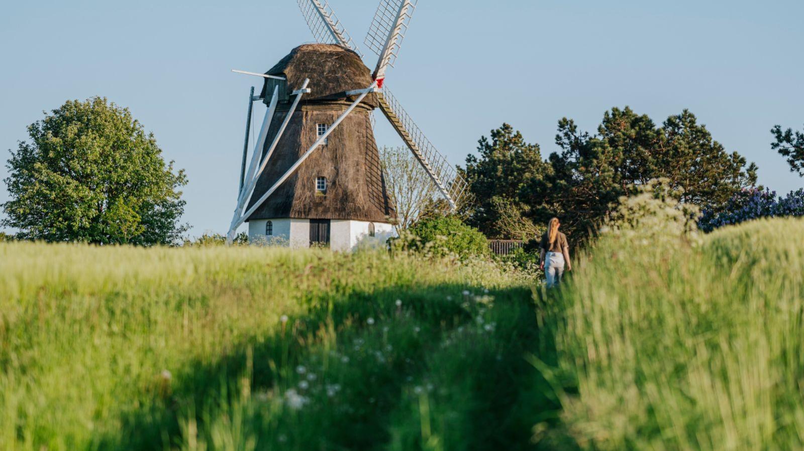 Vester Mølle, forår, sommer, natur, vandring