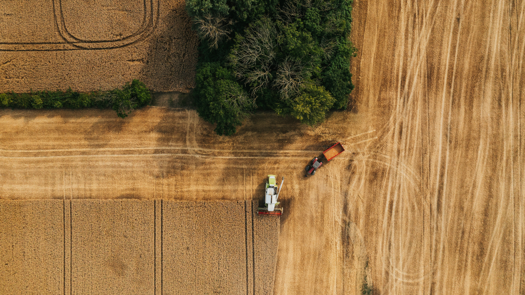 høst, drone, landbrug, erhverv, mejetærsker