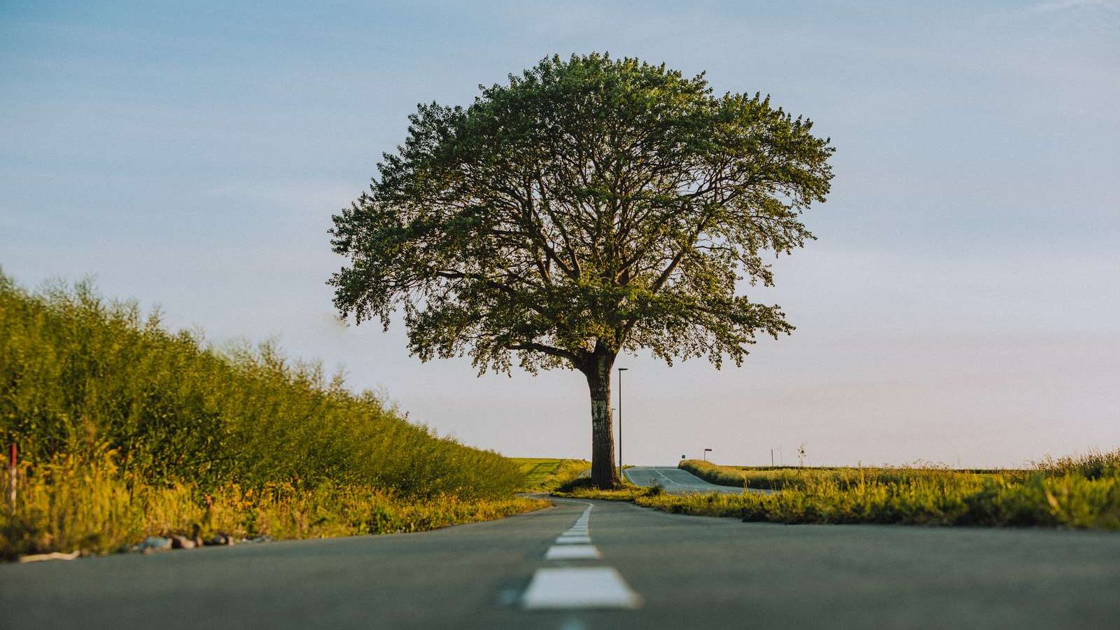 Cykelferie på Ærø