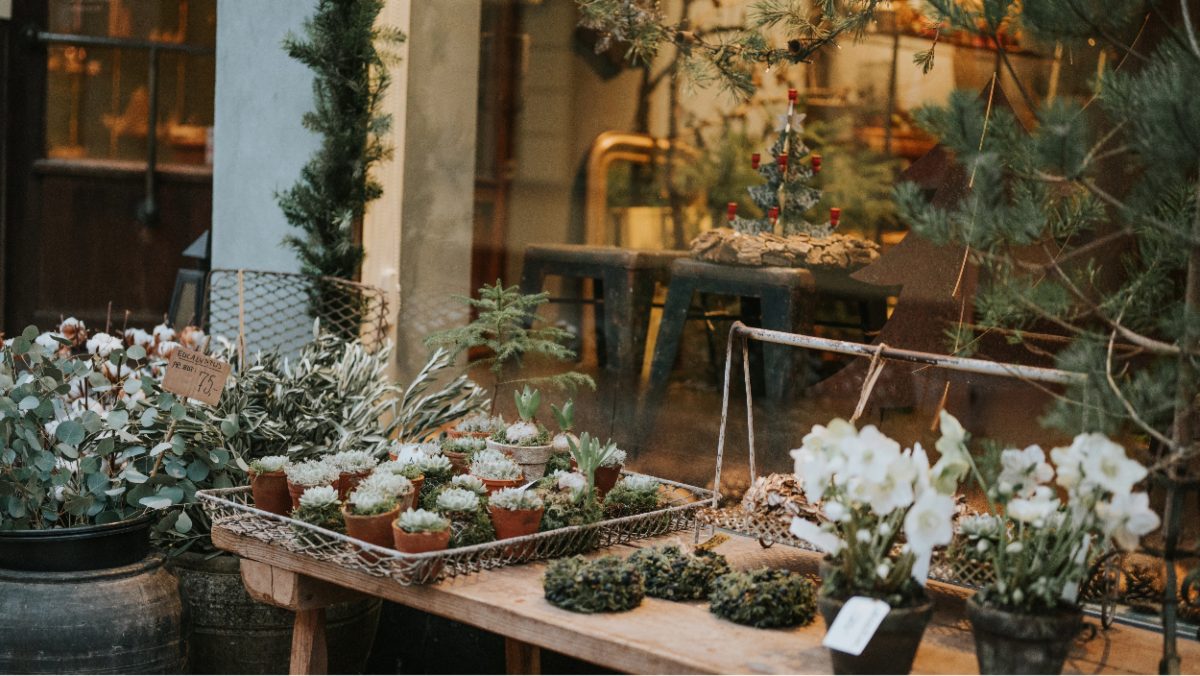 Butikker på Ærø - Etablissement i Ærøskøbing