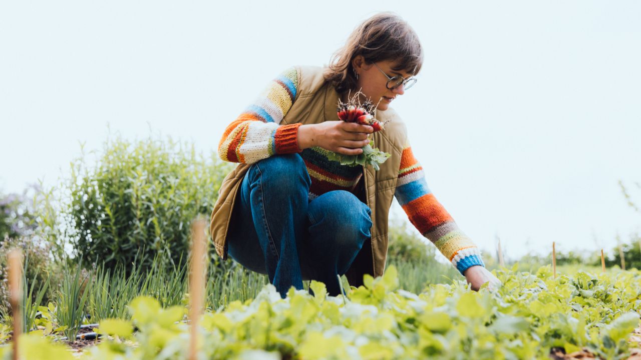 Spisesteder på Ærø