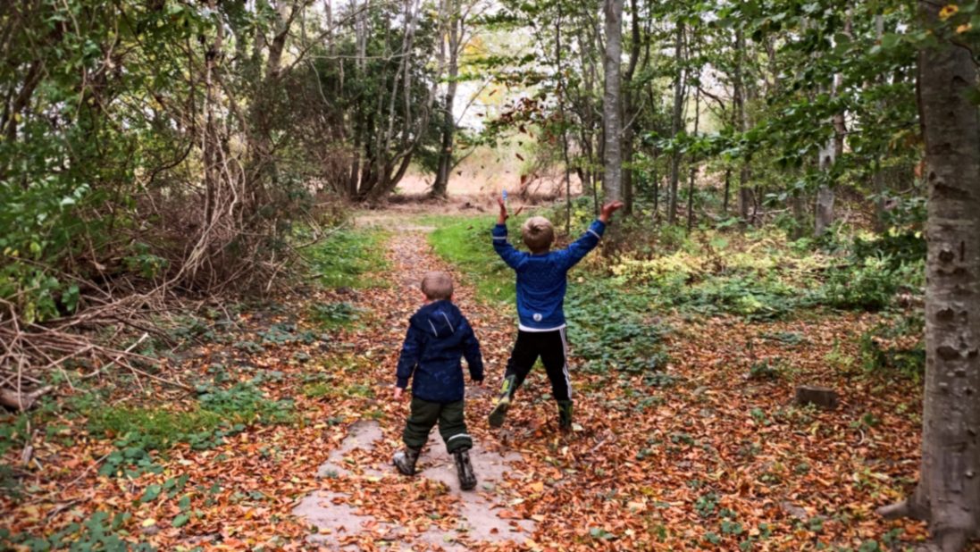 Børneaktiviteter på Ærø