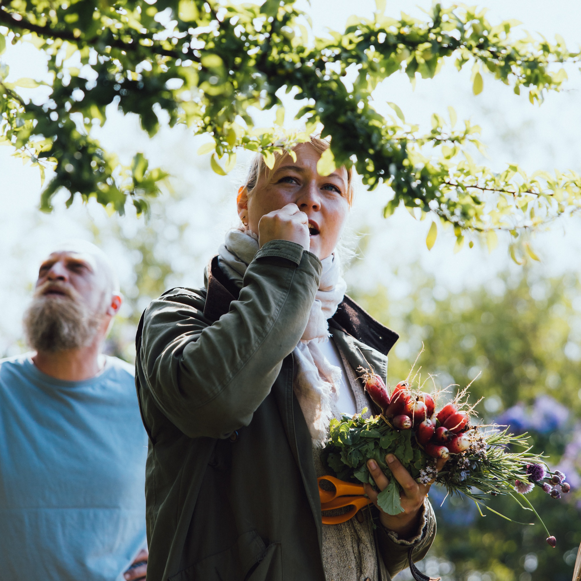Ærø er en del af Geopark Det Sydfynske Øhav