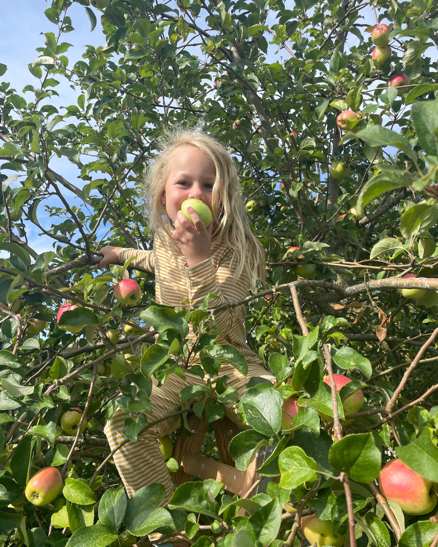 Børneaktiviteter på Ærø, ferie med børn på Ærø