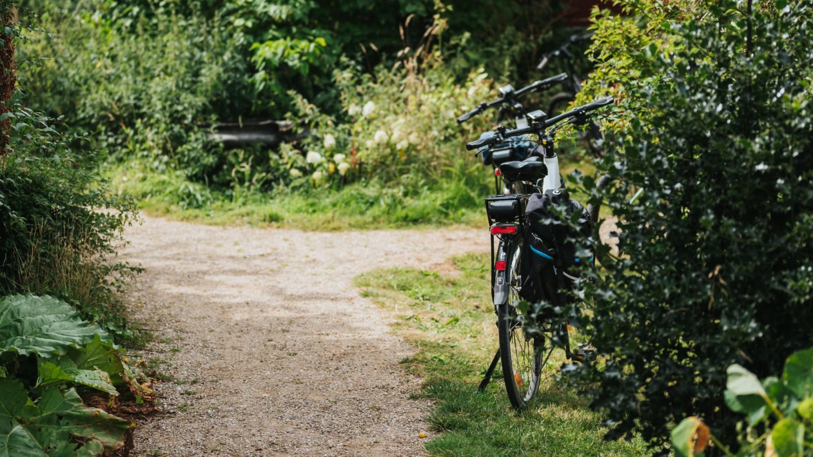 Cykeludlejere på Ærø - cykelferie på Ærø